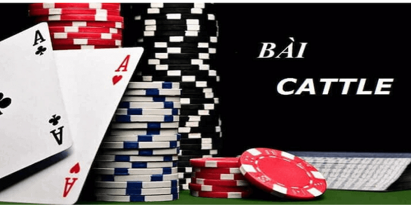 Một số lưu ý trong cách chơi bài cát tê